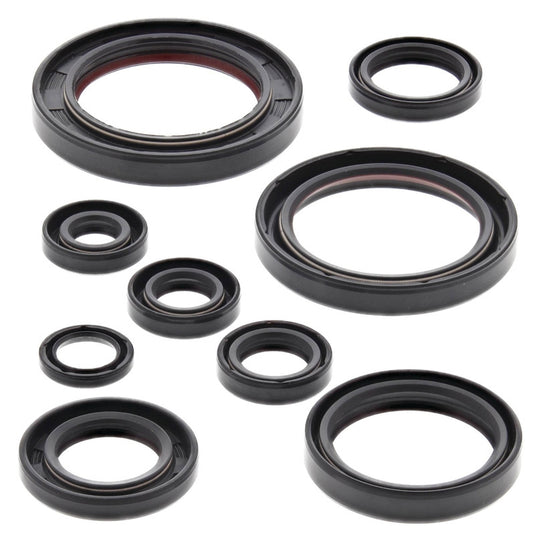 Vertex 822315 Oil Seal Kit