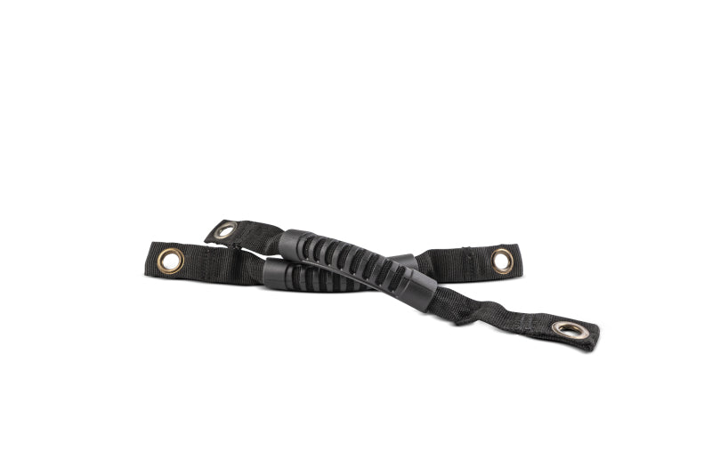Load image into Gallery viewer, Body Armor 4X4 5143 BOD Grab Handles
