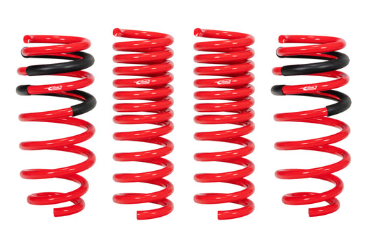 Eibach E10-27-004-01-22 EIB Pro-Kits