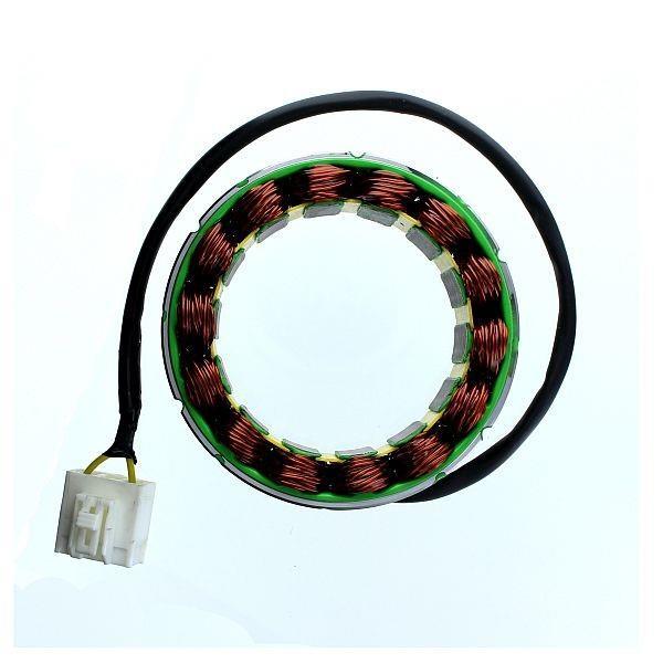 Electrosport Industries ESG648 Stator