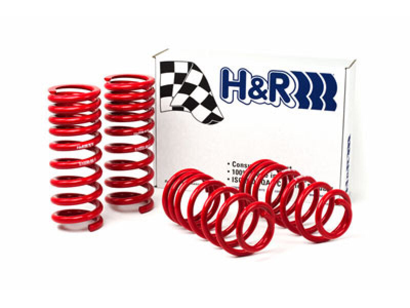 Load image into Gallery viewer, H&amp;R 51650-88 HR Race Springs
