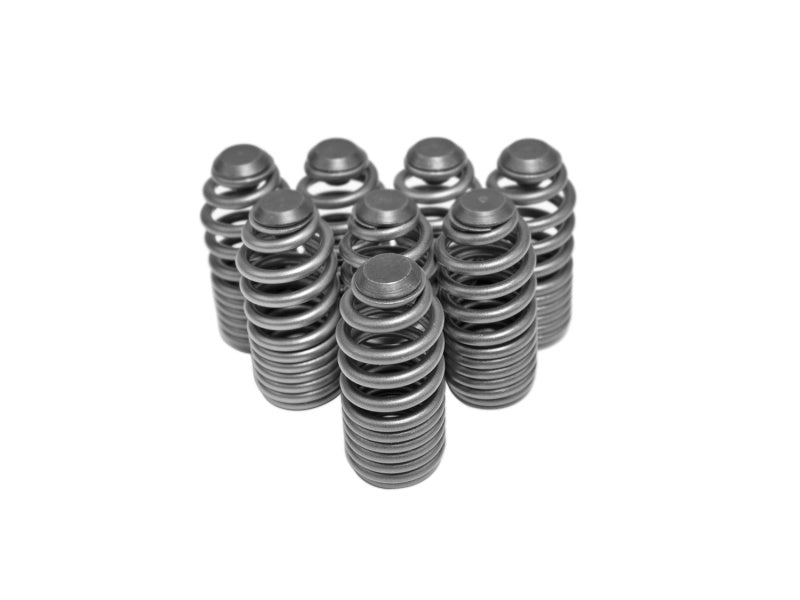 Load image into Gallery viewer, Skunk2 Racing 312-05-0200 SK Tuner Valve Springs
