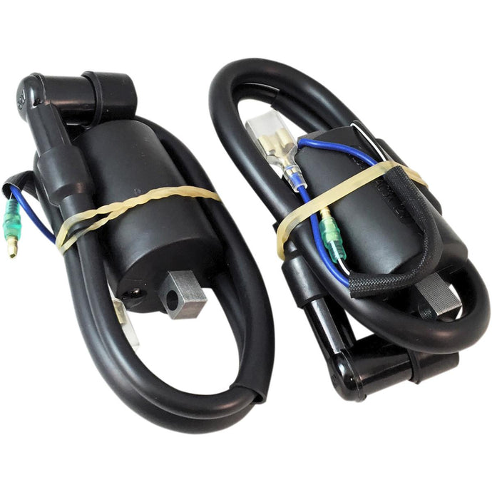 Ricks Motorsport Electric 23-103 Ignition Coil