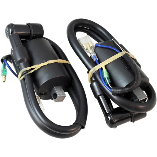 Ricks Motorsport Electric 23-103 Ignition Coil