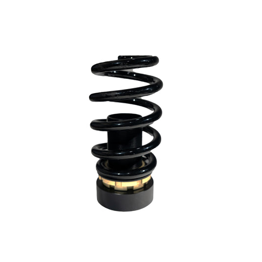 Blox Racing BXSS-00132 BX Plus Coilovers