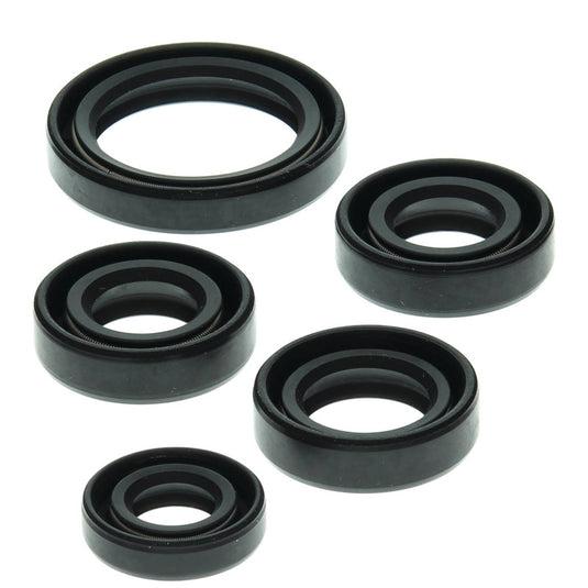 Vertex 822138 Oil Seal Kit