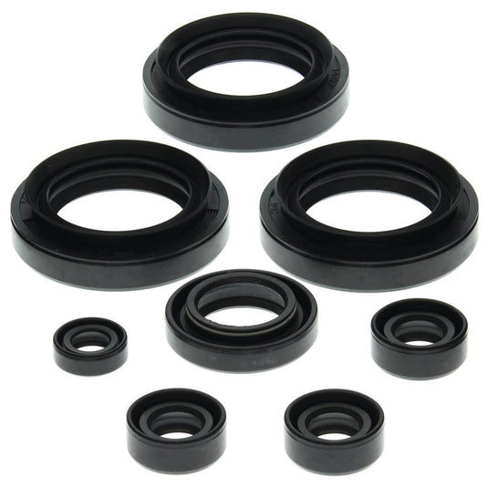 Vertex 822151 Oil Seal Kit