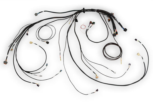 Haltech HT-186500 HAL NEXUS Rebel LS Wire-In Harnesses