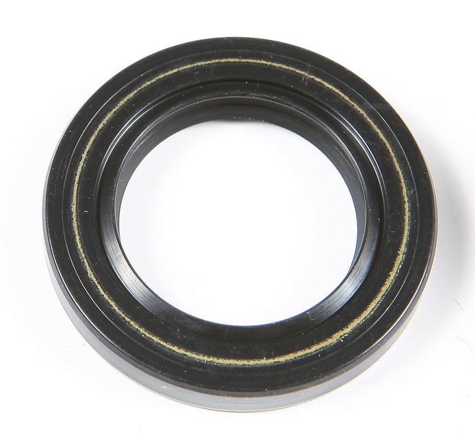 Wps 09-169 Oil Seal