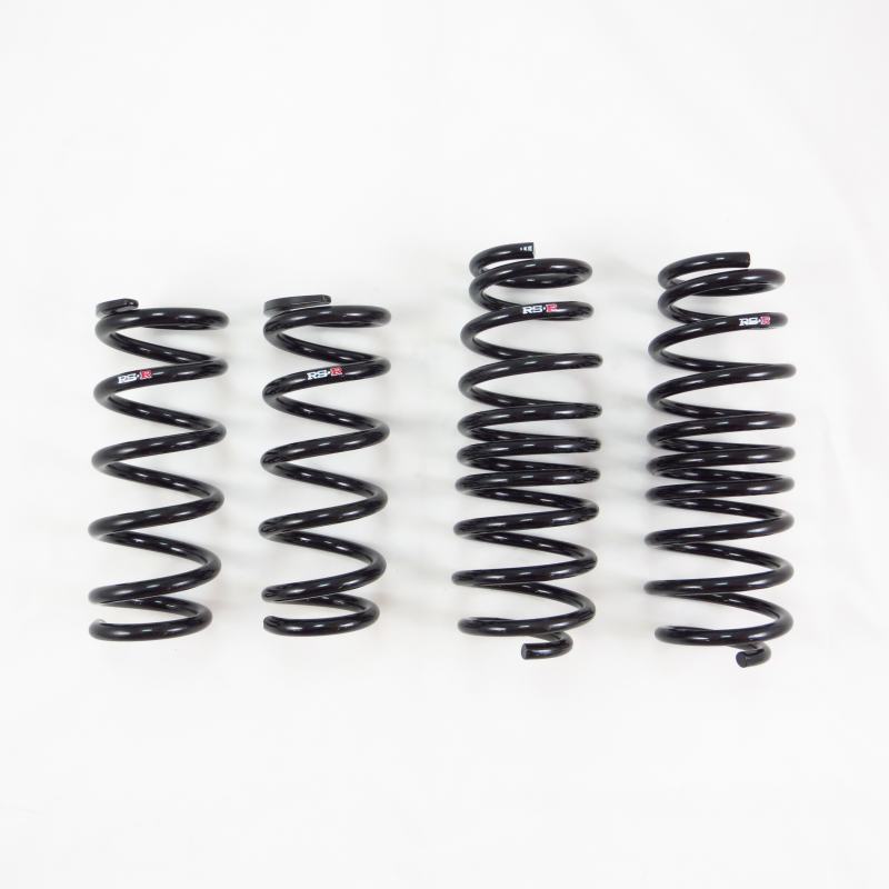 Load image into Gallery viewer, Rs-R T215D RSR Down Sus Springs
