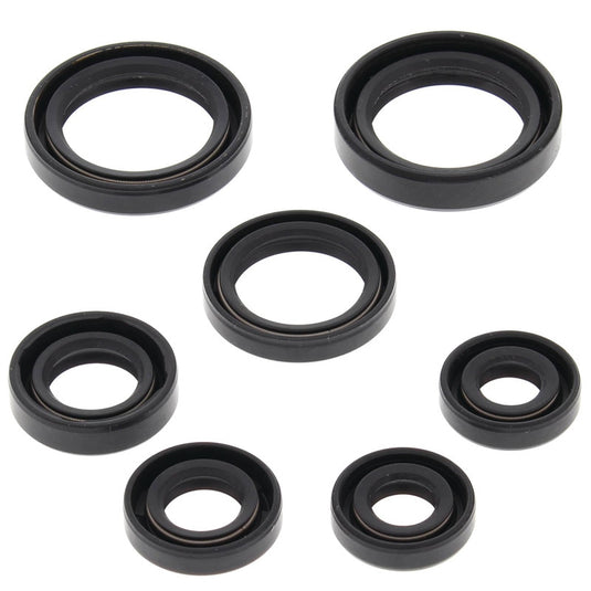 Vertex 822236 Oil Seal Kit