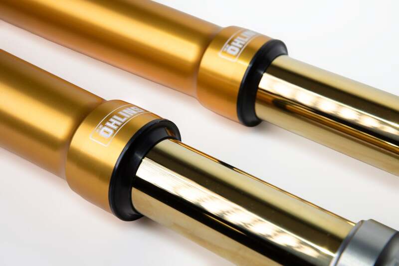 Load image into Gallery viewer, Ohlins FGRT 308 OHL FGRT 300
