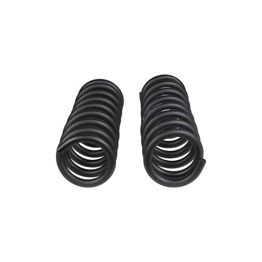 Old Man Emu 4006 ARB OME Coil Springs