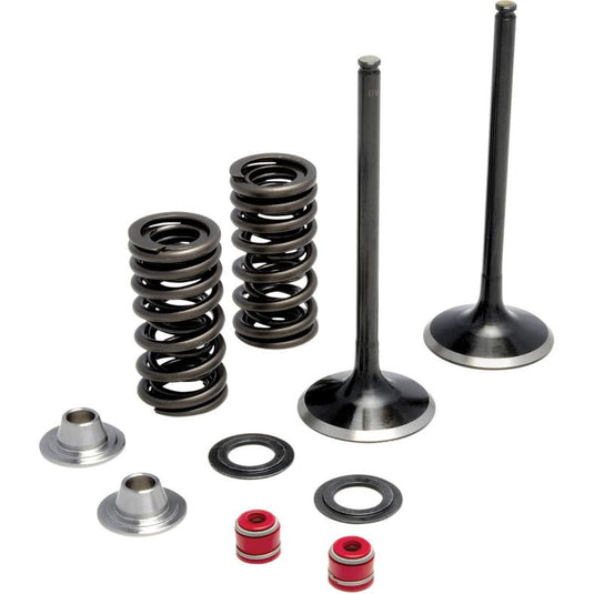 Moose Racing M80-80960 Exhaust Valve Kit