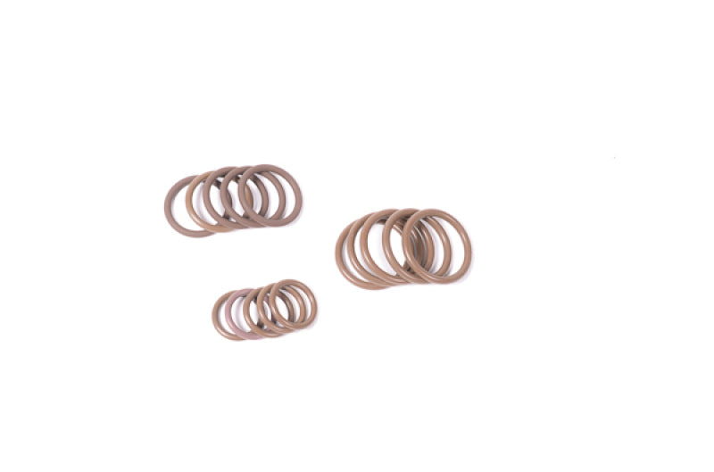 Load image into Gallery viewer, Radium Engineering 18-0043 RAD O-Rings
