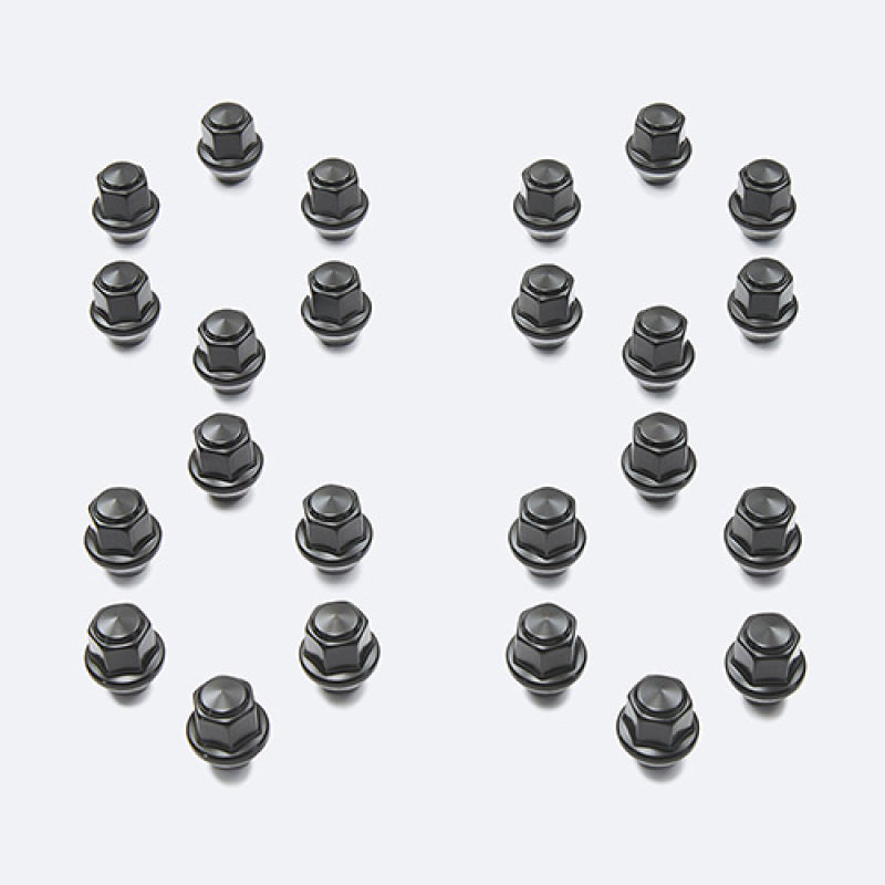 Load image into Gallery viewer, Ford Racing M-1012K-BR FR Lug Nut Kits
