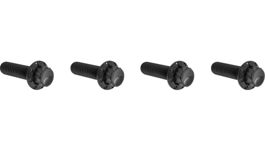 Arlen Ness 300-978 12 Point Brake And Clutch Perch Bolt Kit - Black