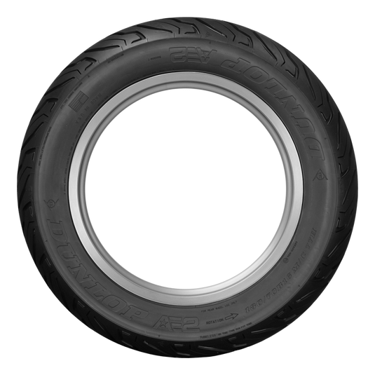 Dunlop 45252462 DUN AE2 Tires