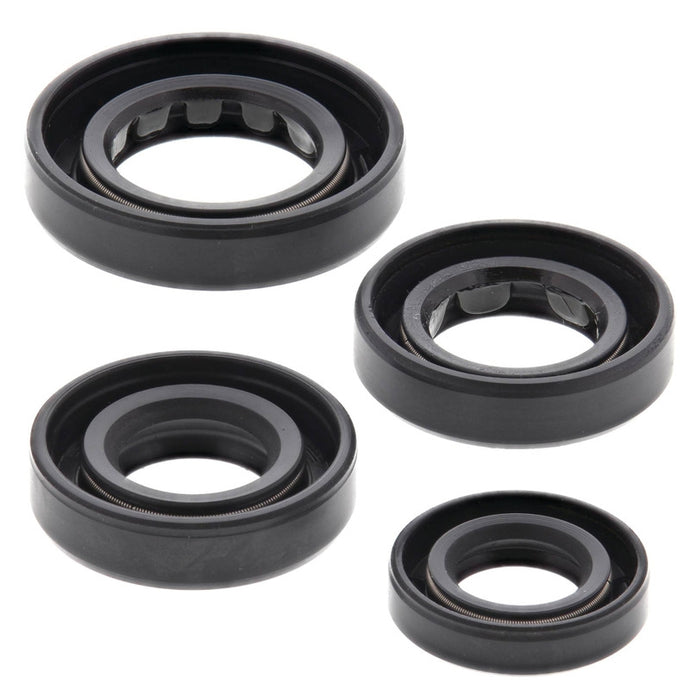 Vertex 822179 Oil Seal Kit