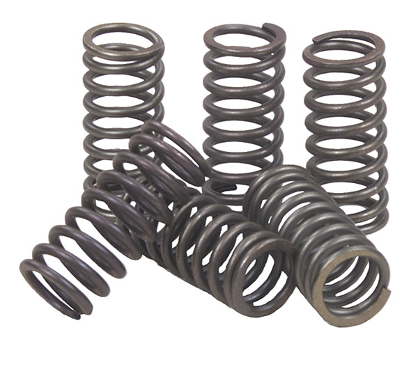 Ebc CSK191 CSK Clutch Spring Kit