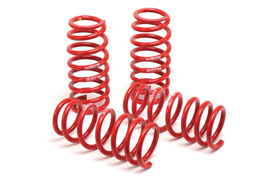 H&R 51664-88 HR Race Springs