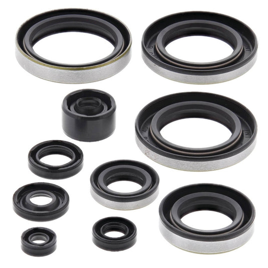 Vertex 822295 Oil Seal Kit