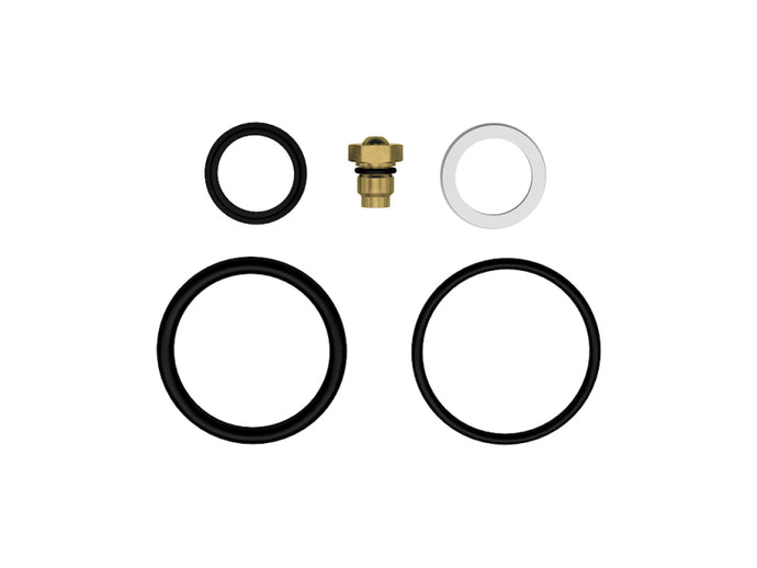 Icon 252010 ICO Rebuild Kits