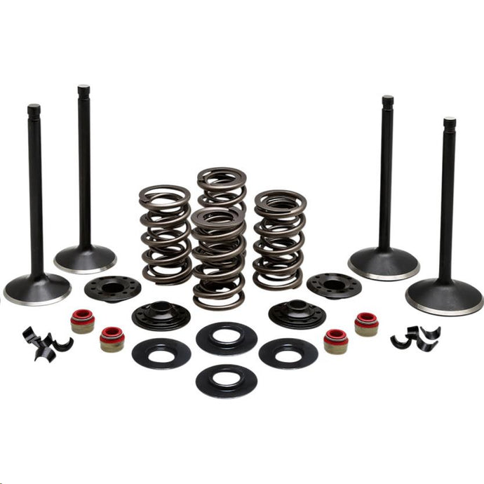 Kibblewhite Precision 20-22650 Engine Valve Kit