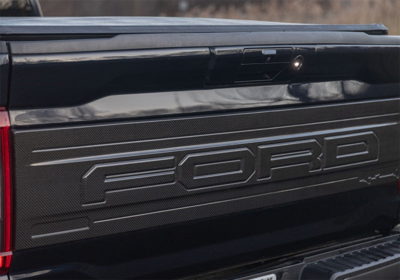 Load image into Gallery viewer, Ford Racing M-16600-FG FR Trim Panels
