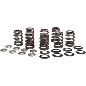 Kibblewhite Precision 20-21000 Performance Rebuild Ovate Wire Beehive Valve Spring Kits - .465in.