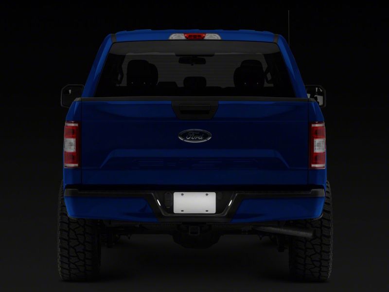 Load image into Gallery viewer, Raxiom T542565 RAX License Plate Bulbs

