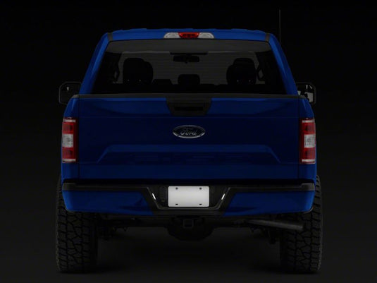 Raxiom T542565 RAX License Plate Bulbs