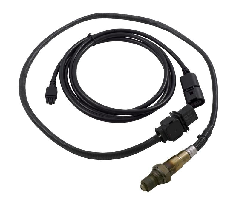 Load image into Gallery viewer, Innovate Motorsports 3897 INN Wideband Sensors
