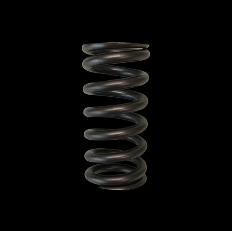 Load image into Gallery viewer, Brian Crower BC1350 BC Valve Springs
