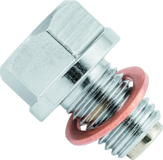 Bikemaster 151681 BKM Drain Plugs