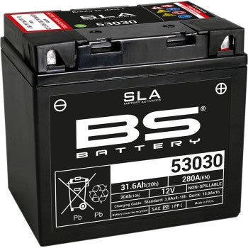 Bs Battery 300880 SLA Factory-Activated AGM Maintenance-Free Battery