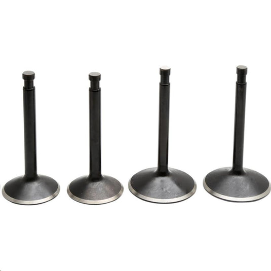 Kibblewhite Precision 20-22300 Black Diamond Valve Kits