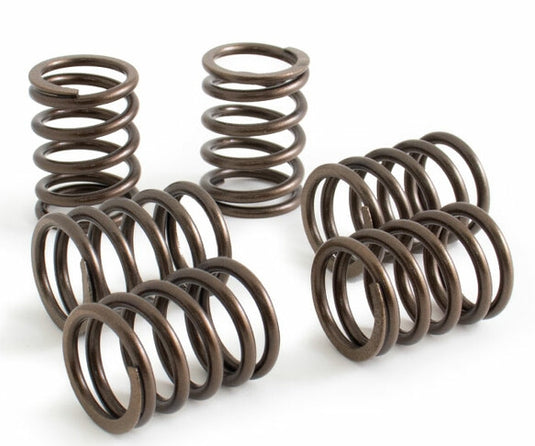 Koso North America FT623001 Clutch Spring Set
