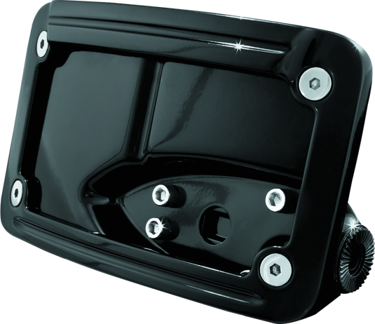 Kuryakyn 3125 KUR License Plate Mounts E