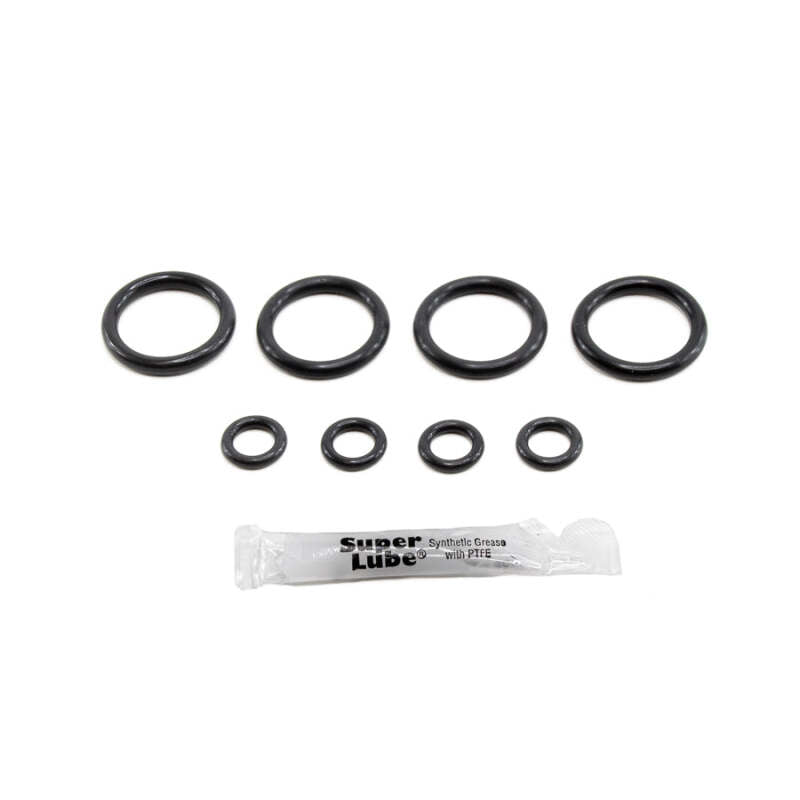 Load image into Gallery viewer, Deatschwerks 2-002-4 DW O-Ring Kit
