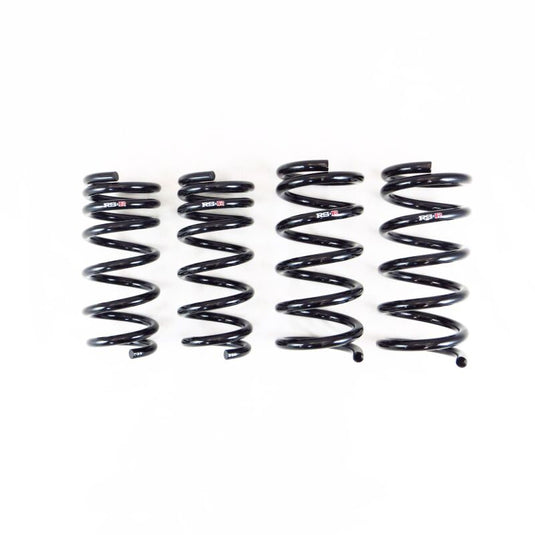 Rs-R N135D RSR Down Sus Springs