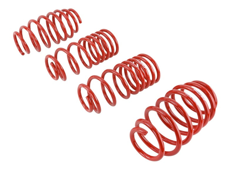 Load image into Gallery viewer, Skunk2 Racing 519-05-1580 SK Lowering Springs
