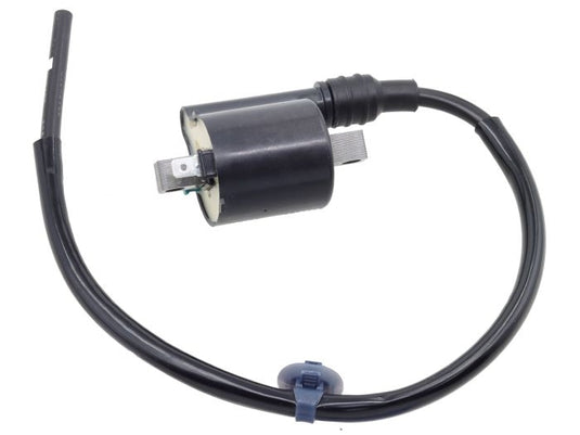 Bronco AT-01921 Ignition Coil