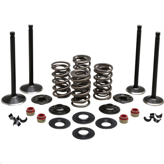 Kibblewhite Precision 20-22750 Engine Valve Kit