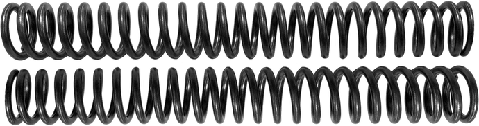 Harddrive R3050080 Springs for Scepter 25 Fork Cartridge - 49mm - Standard