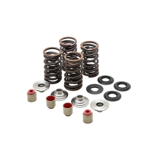 Kibblewhite Precision 82-86000 Racing Spring Kit - Titanium - 0.450in. Lift