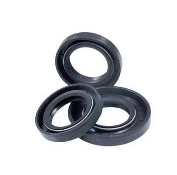 Winderosa 622205 Crankshaft Oil Seal Kit