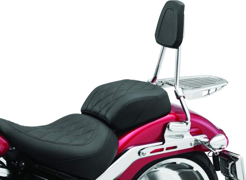 Load image into Gallery viewer, Kuryakyn 6588 KUR Sissy Bars
