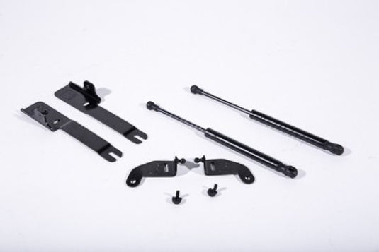 Roush 422043 RSH Hood Strut Kits