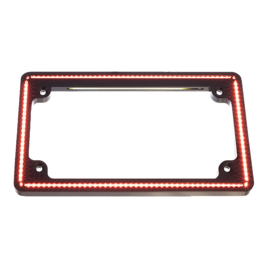 Letric Lighting Co. LLC-PPL-G6 Perfect Plate-Light Flat LP Frame - Gloss Black